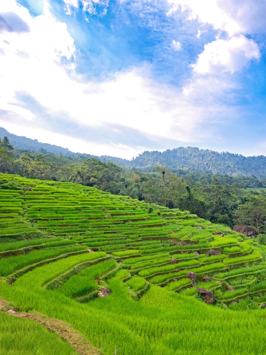 Cẩm nang du lịch Pù Luông