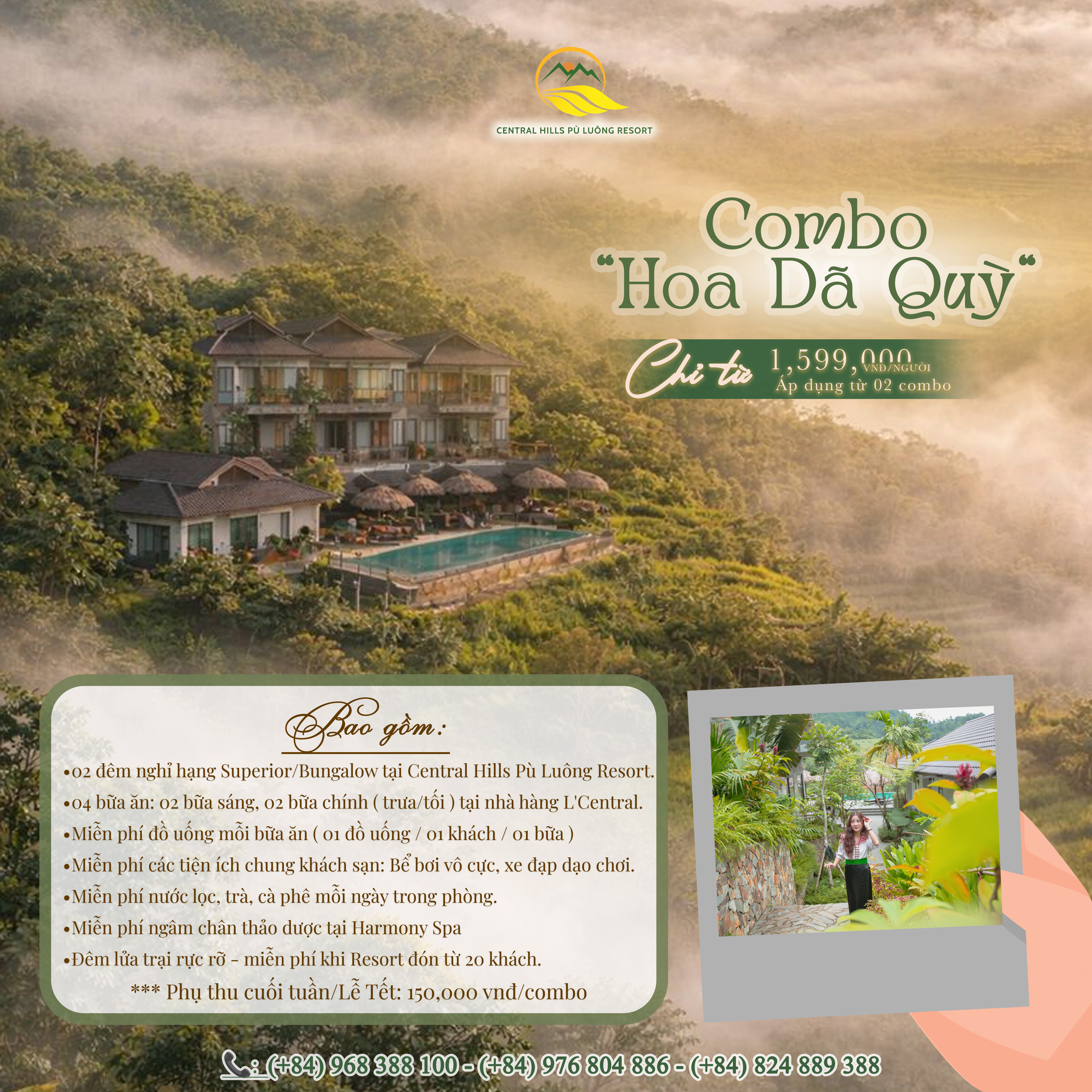 COMBO “HOA DÃ QUỲ”