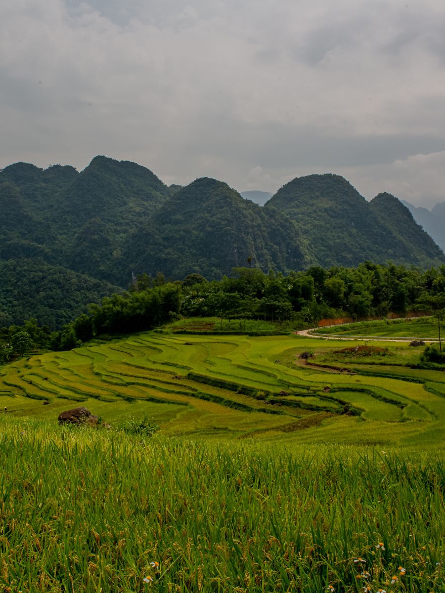 Đi Trekking Pù Luông Cần Mang Theo Những Gì?