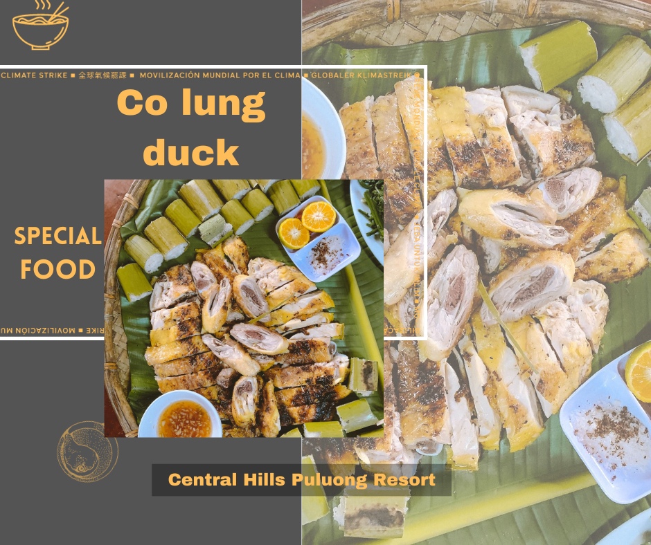 Vịt Cổ Lũng - Món ngon ở Pù Luông